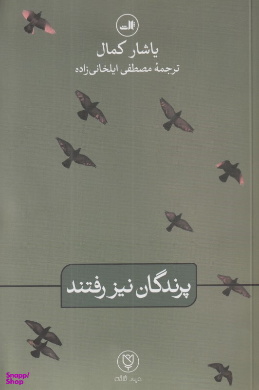 پرندگان نیز رفتند