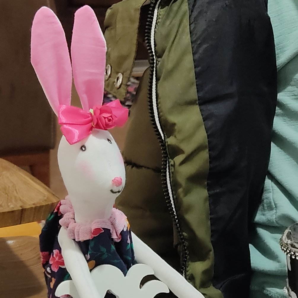 خرگوش پارچه ای