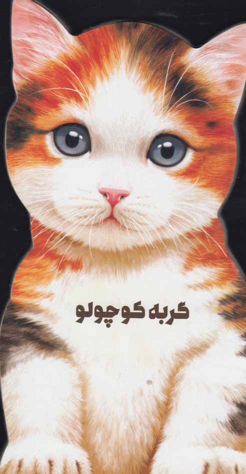 کتاب داستان زندگی خرس قطبی کوچولو