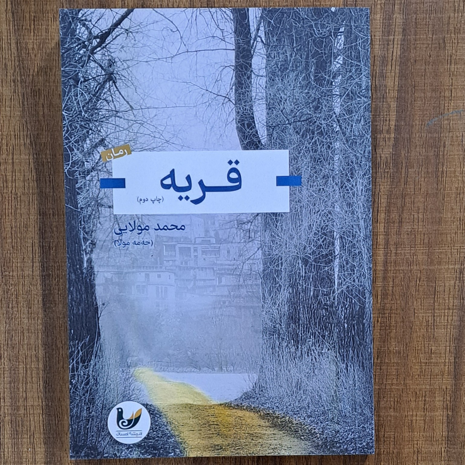 کتاب قریه نویسنده محمد مولایی