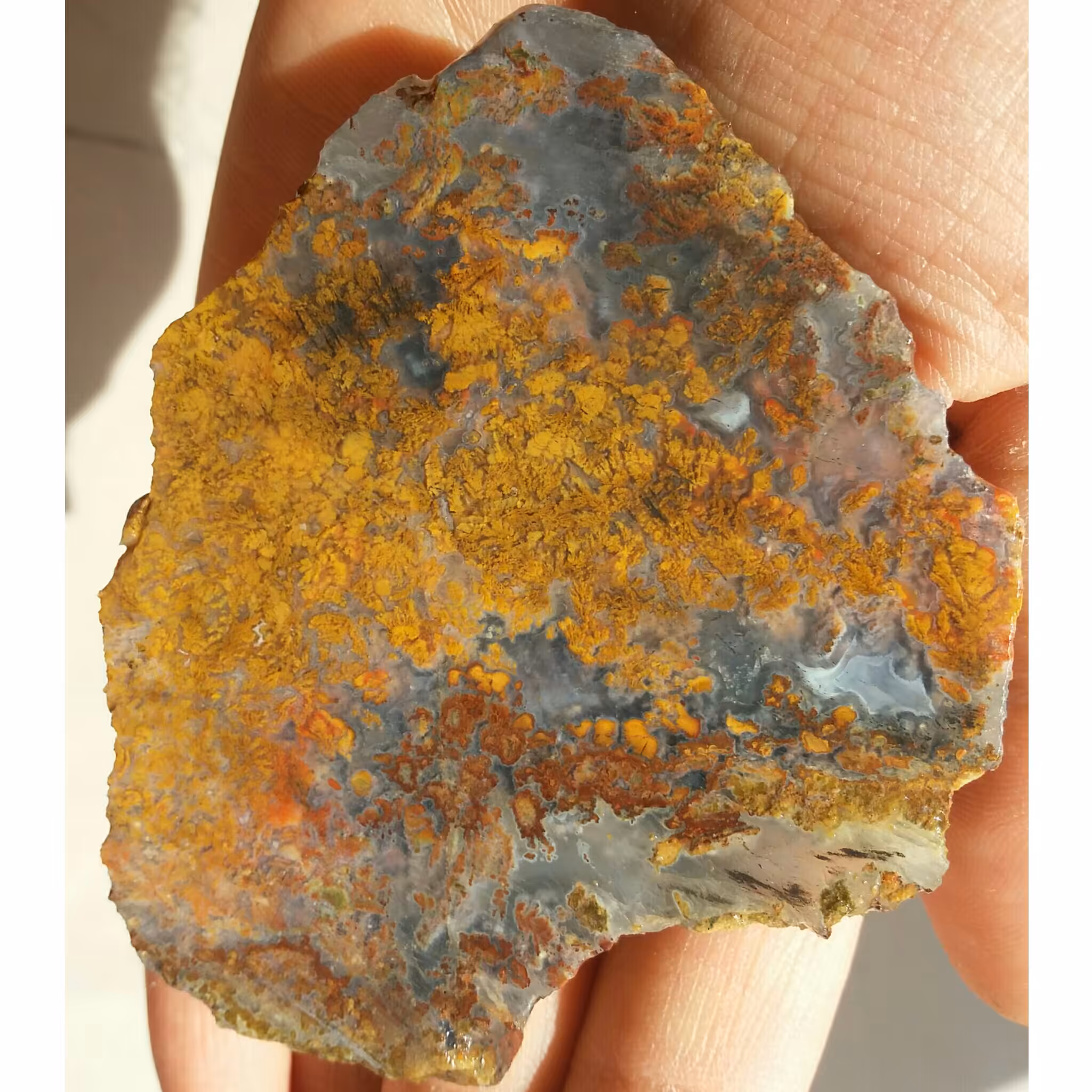 اسلایس سنگ راف شجر منظره 7رنگ دیددددنی کاملا طبیعی شاهکار خلقت  زیباااا