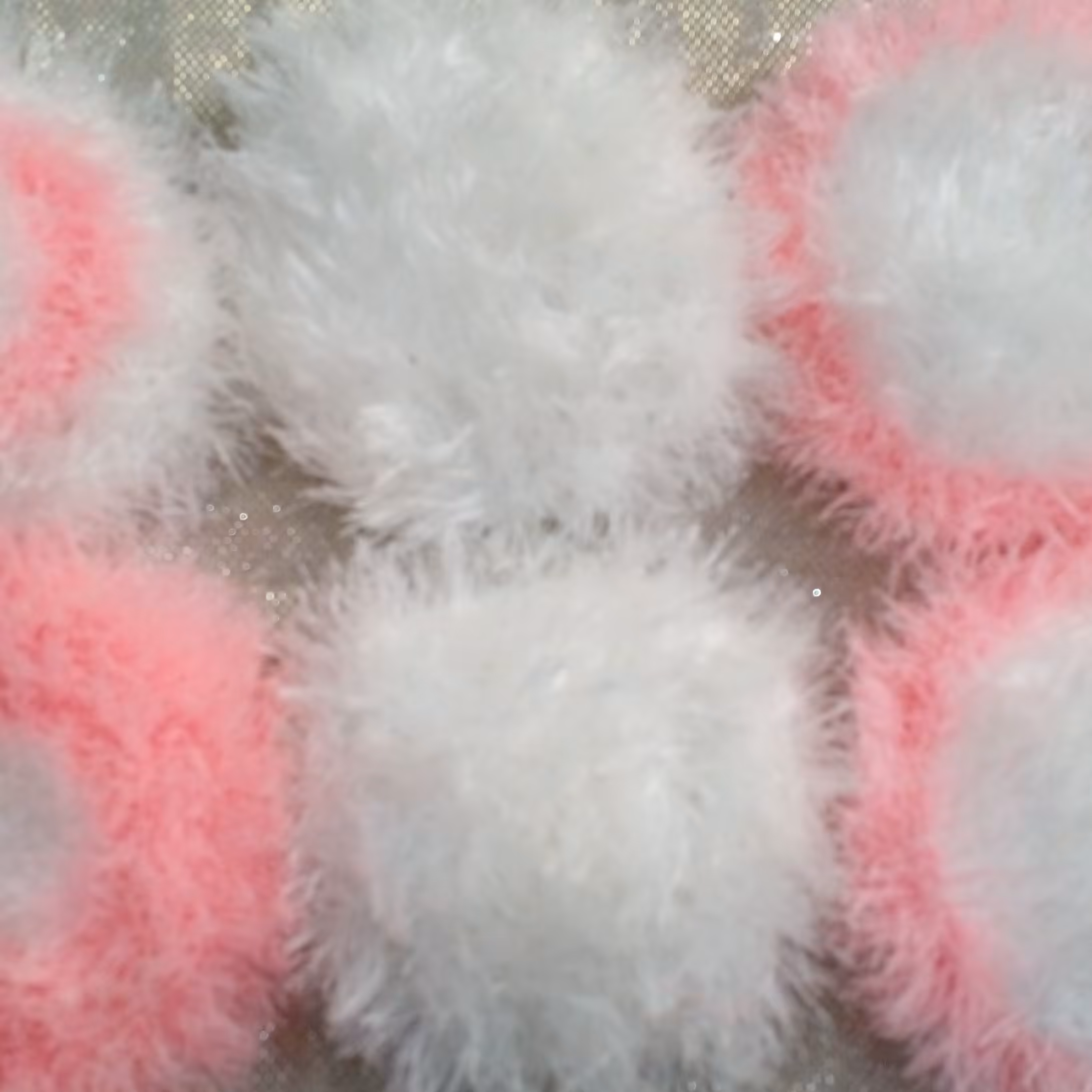 اسکاچ یوموش. اتمام موجودی