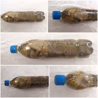 برگ مو دستچین شده سایز بزرگ فروشگاه وسنا