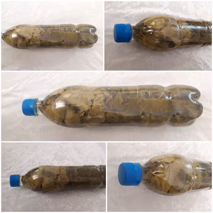 برگ مو دستچین شده سایز بزرگ فروشگاه وسنا