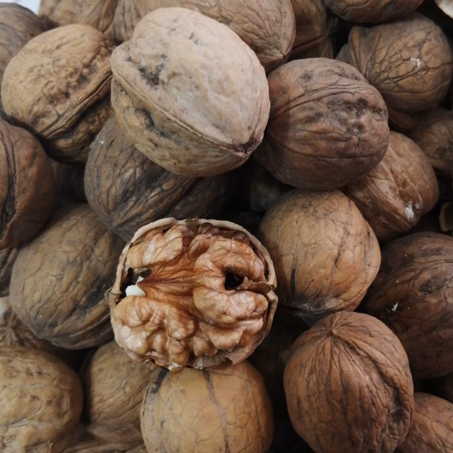 گردو ایرانی پوست کاغذی 