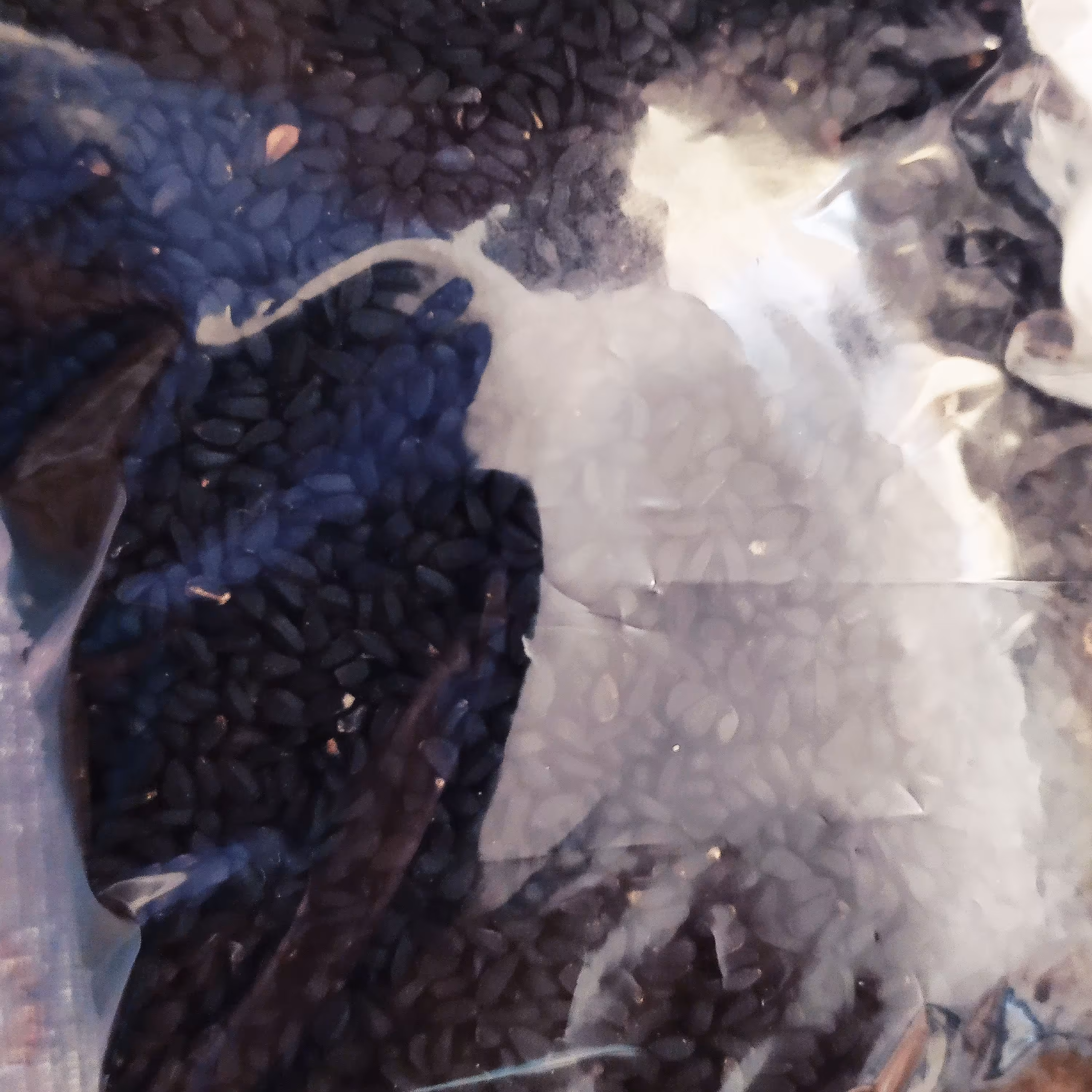 سیاه دانه عالی(100گرمی)