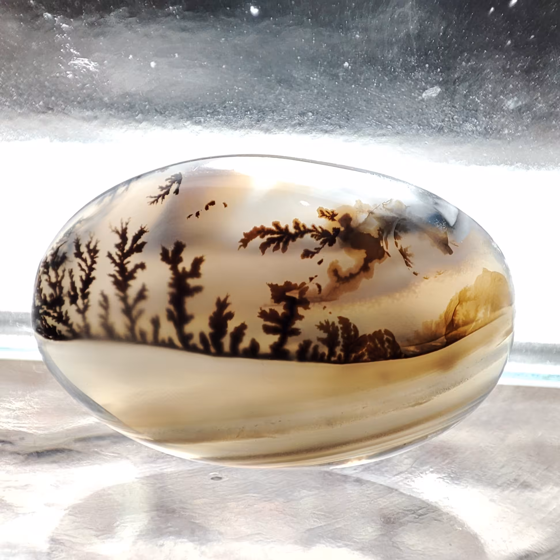 شجر قائن منظره کلکسیونی طبیعی و معدنی کد 943