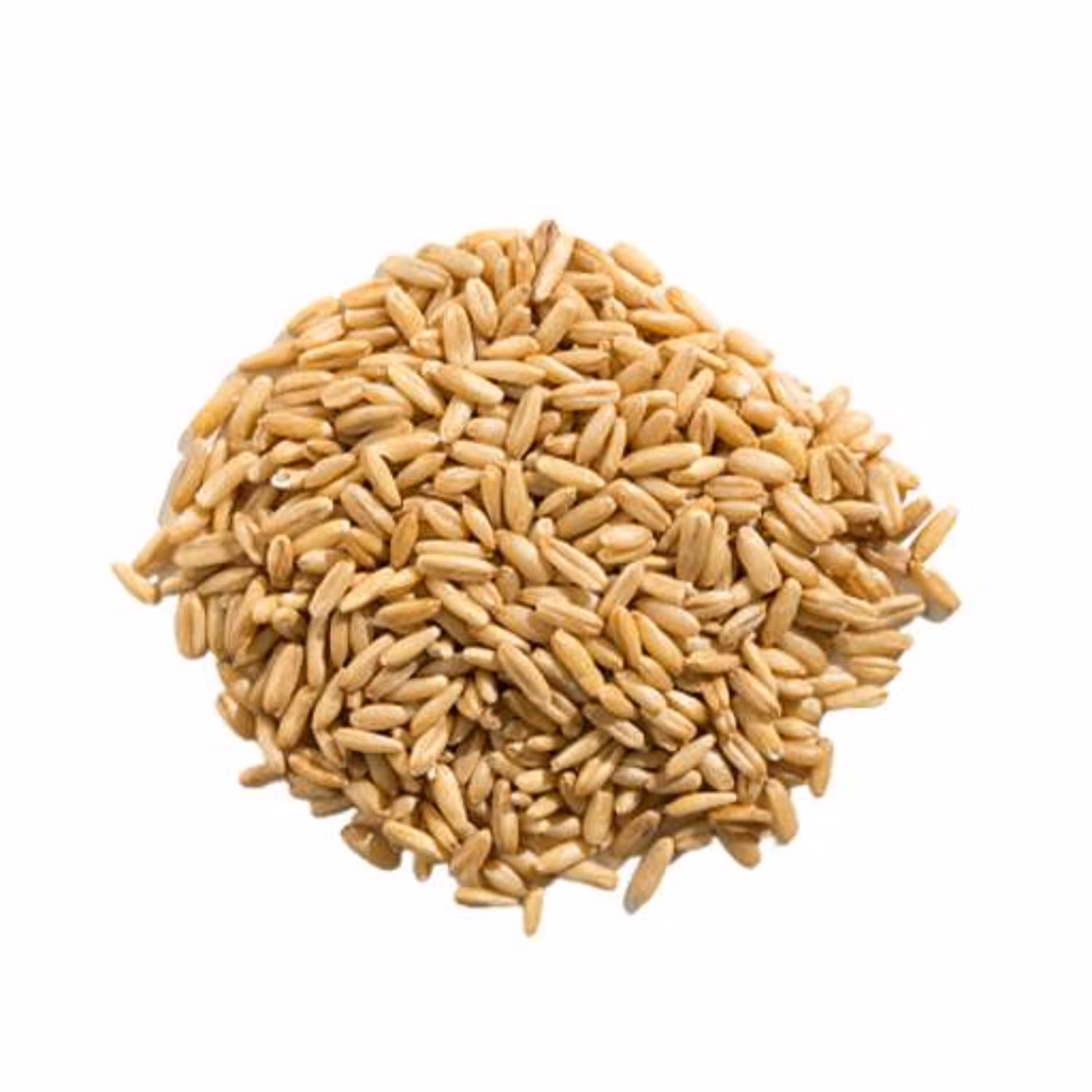 بذر جو دوسر وحشی 100 گرمی