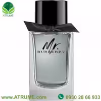 عطر ادکلن باربری مستر باربری 100 میل مردانه