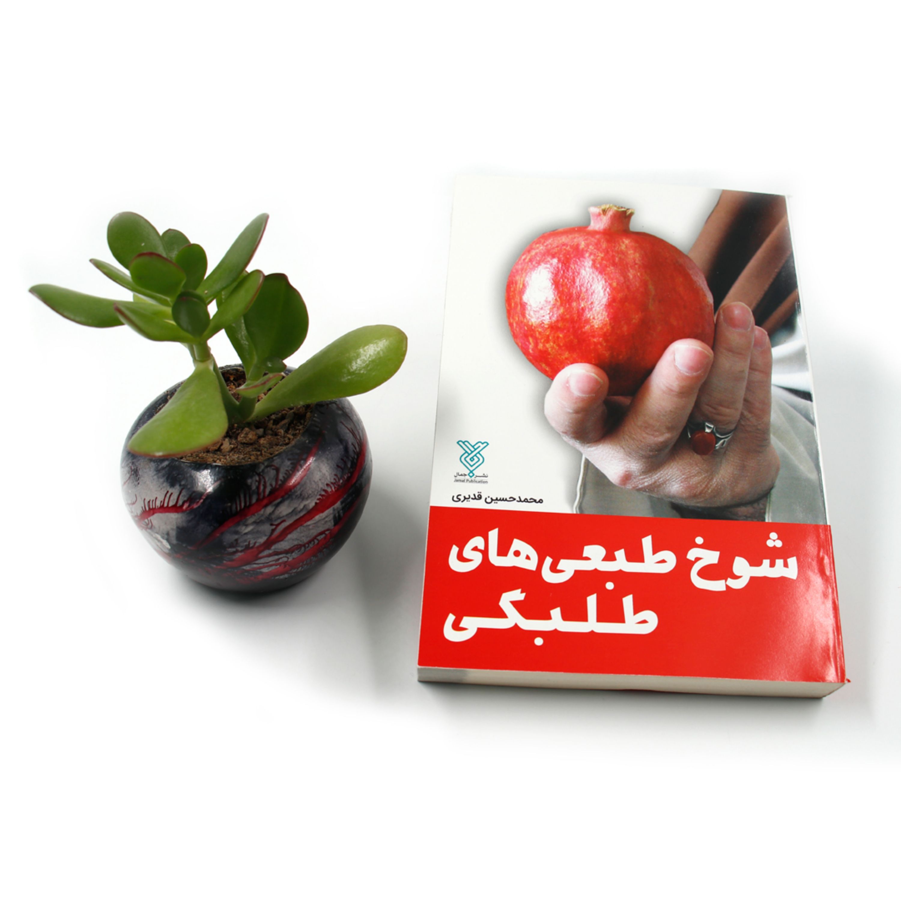 کتاب شوخ طبعی های طلبگی