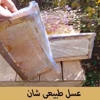 عسل طبیعی شان
