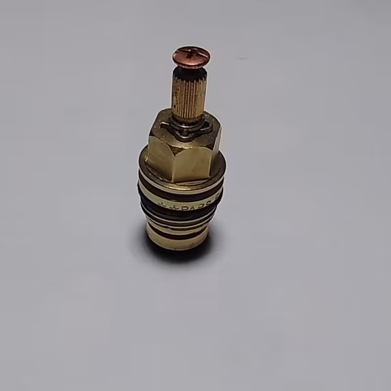 مغز شیر مخروط 