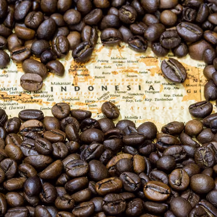 دان قهوه اندونزی جاوا (جاوه) 1000 گرم مدیوم رست