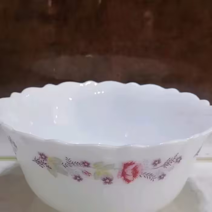 آرکوپال پارس اوپال کاسه آبگوشتی طرح دنیز کد 230   6عددی
