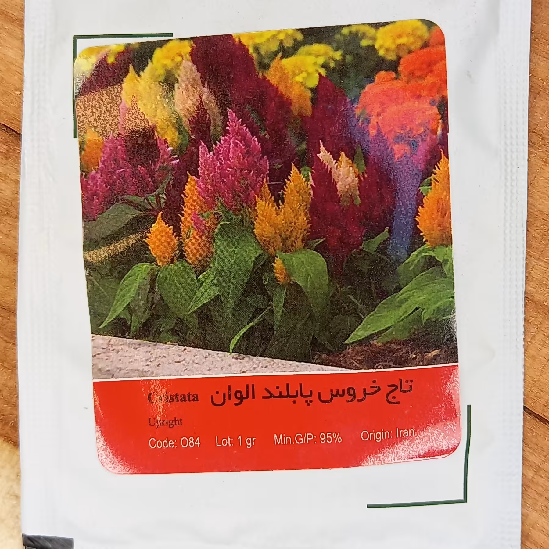 بذر تاج خروس پابلند الوان