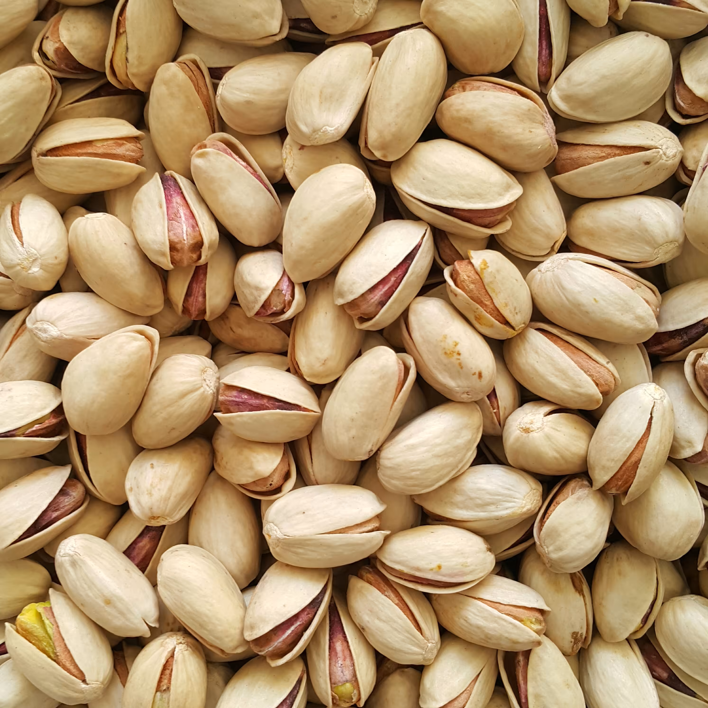 پسته اکبری خام (5 کیلو)