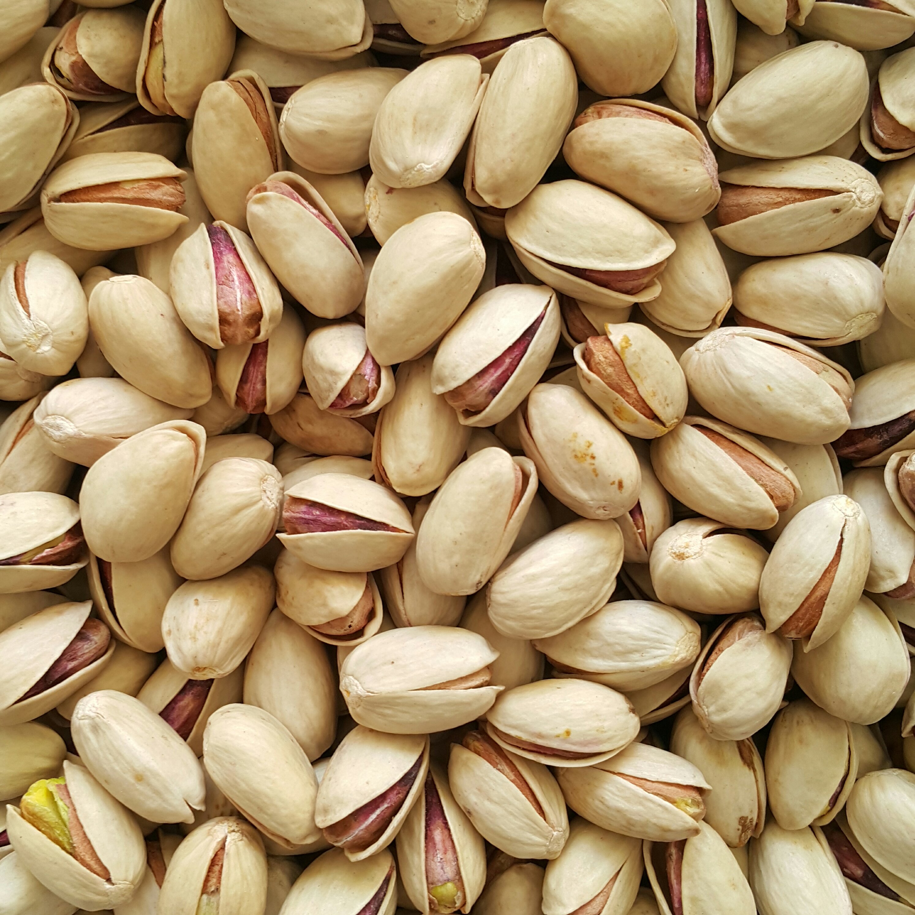 پسته اکبری خام (5 کیلو)