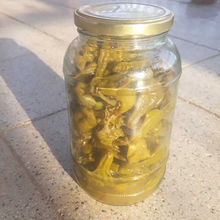 فلفل ترشی دو کیلو گرمی