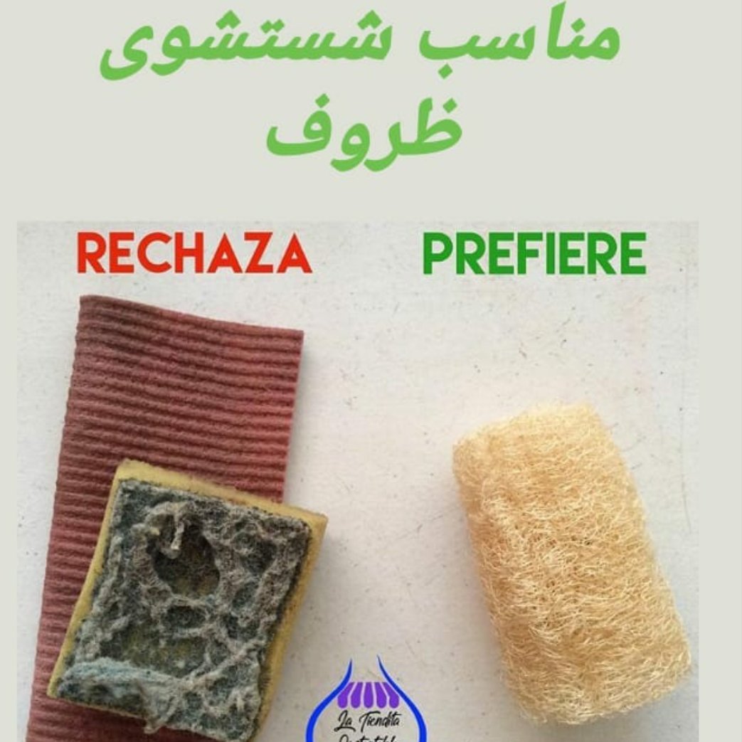 50 عدد اسکاج گیاهی لوفا عمده
