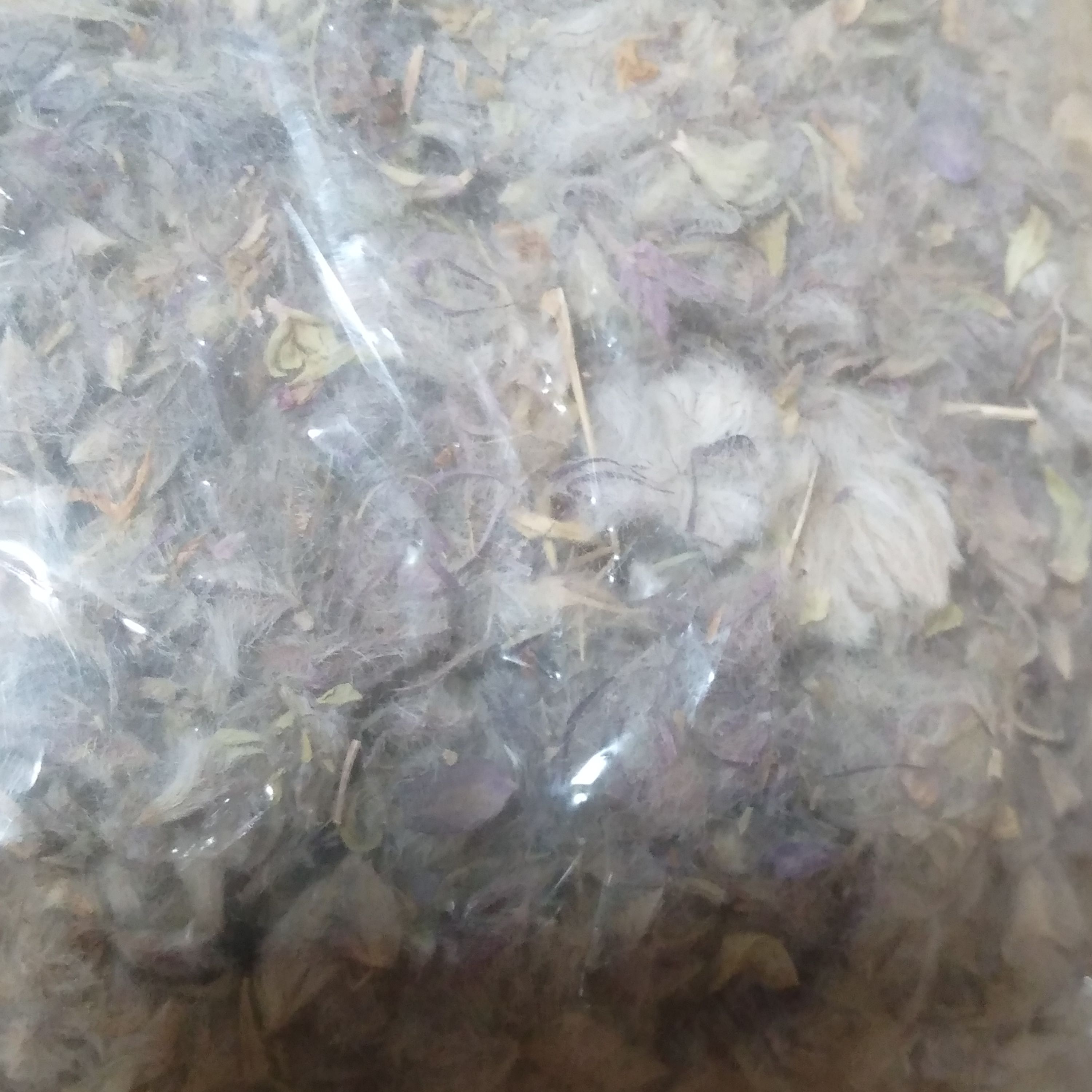چای کوهی 50 گرمی