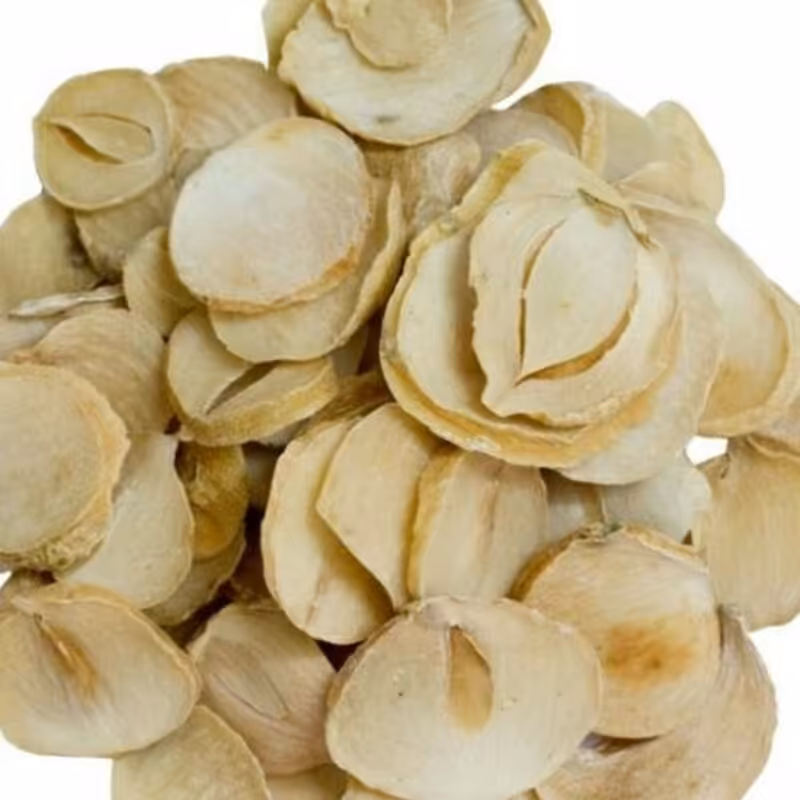 موسیر پولکی (100 گرمی) اورگانور