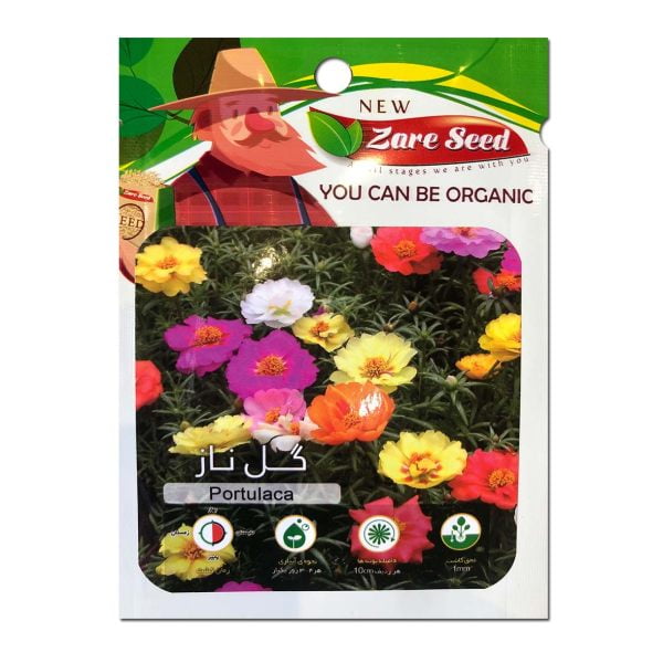 بذر گل ناز (ناز آفتابی یا گل زمان)+روش کاشت/ قیمت+خرید