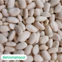 لوبیا سفید ارگانیک تازه (1500 گرمی)