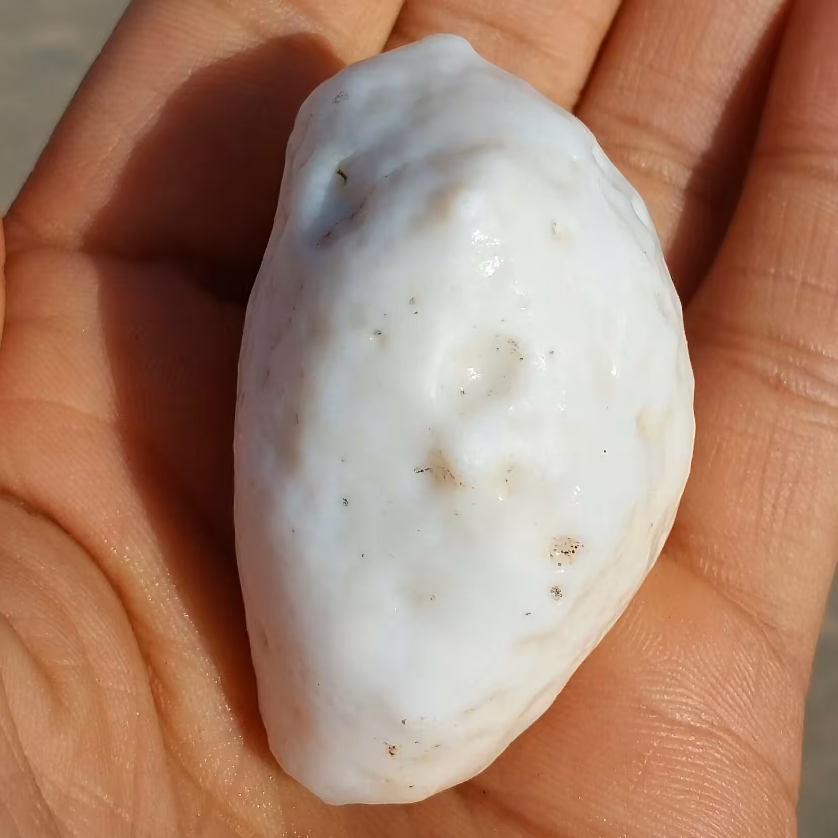 سنگ راف خام عقیق برش نخورده سفید 100 در 100 طبیعی سرشار از خواص شاهکار خلقت
با قابلیت ساخت چند نگین محشر
کد 9428