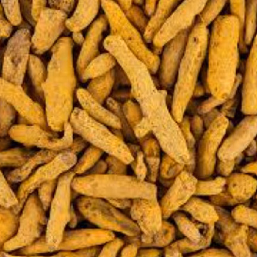 زردچوبه قلم  هندی