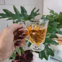 لیوان چای خوری دسته دار پریما کد484برندمعتبراومیکس جنس عالی دارای جعبه کادویی