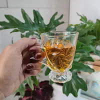 لیوان چای خوری دسته دار پریما کد484برندمعتبراومیکس جنس عالی دارای جعبه کادویی