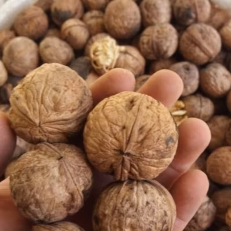 گردوی چرب و خوشمزه همدان