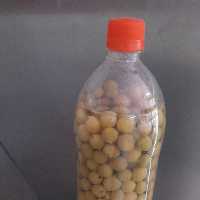 غوره شور خورشتی