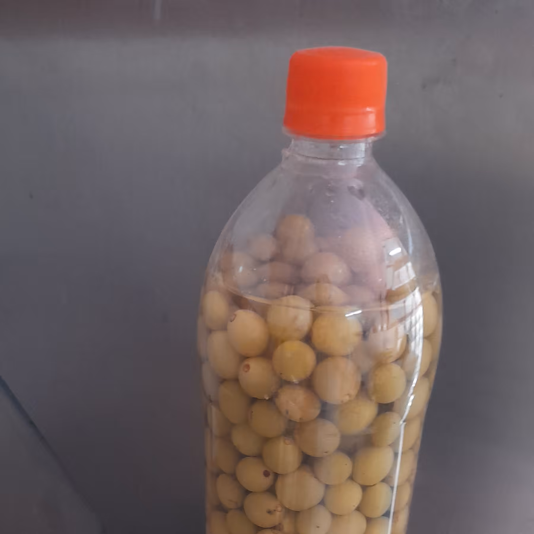 غوره شور خورشتی