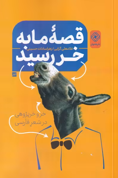 کتاب قصه ما به خر رسید اثر غلامعلی گرایی زهرا سادات حسینی