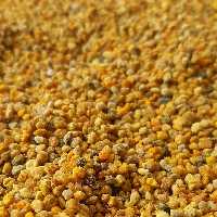 گرده گل استریل شده پروبی