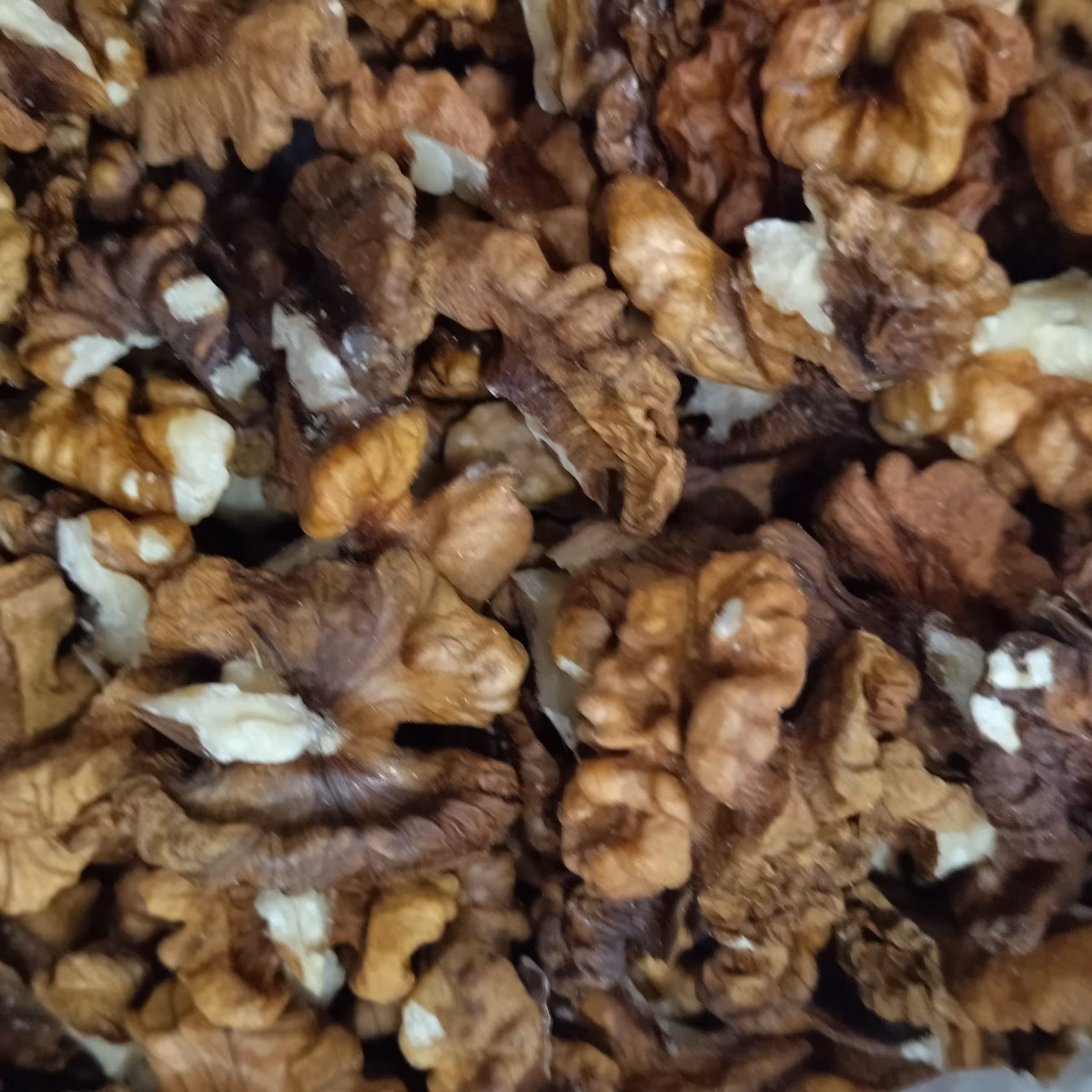 مغز گردوی فسنجونی درجه دو غرفه 1402