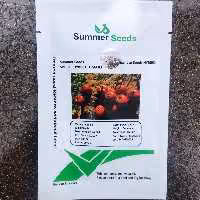 بذر گوجه فرنگی نپال