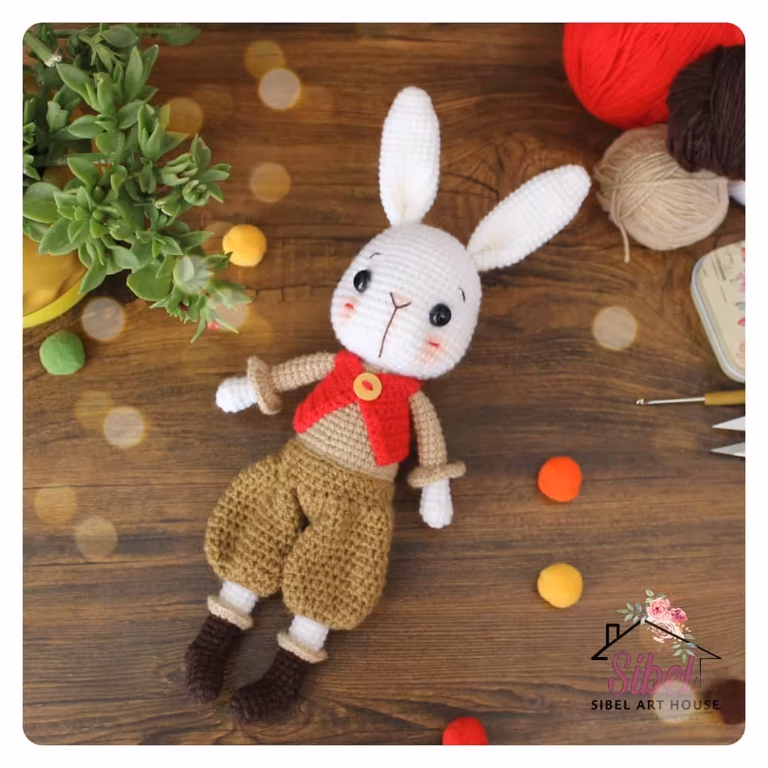 عرویک قلاببافی خرگوش آقای جین