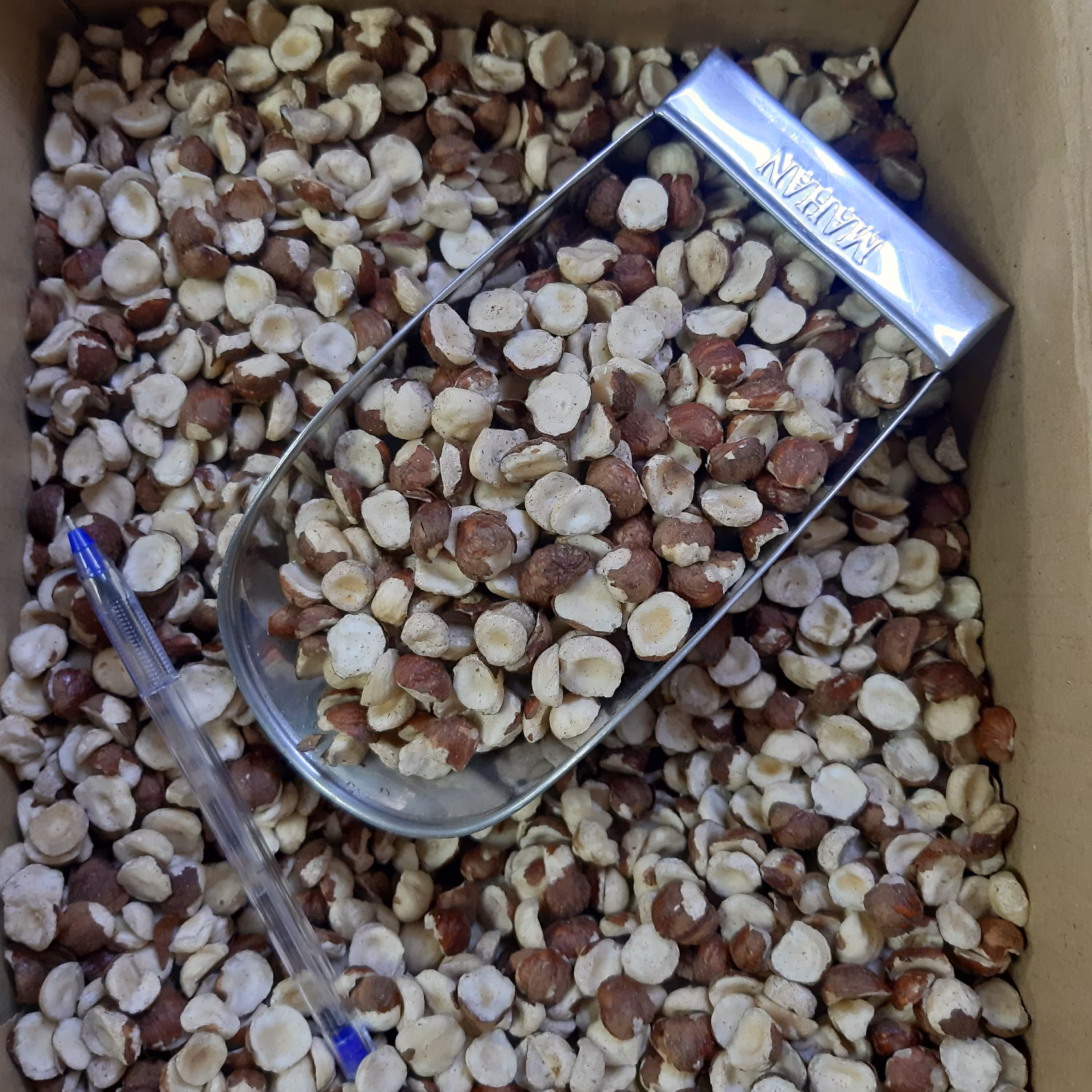 فندق لپه 10 کیلویی