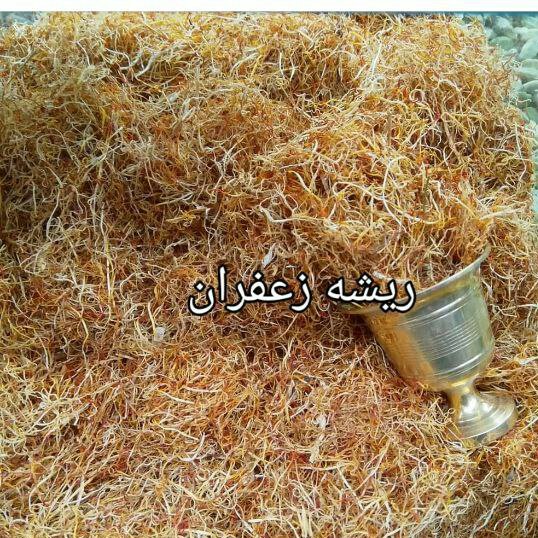 ریشه زعفران درجه یک ( 10 گرمی )