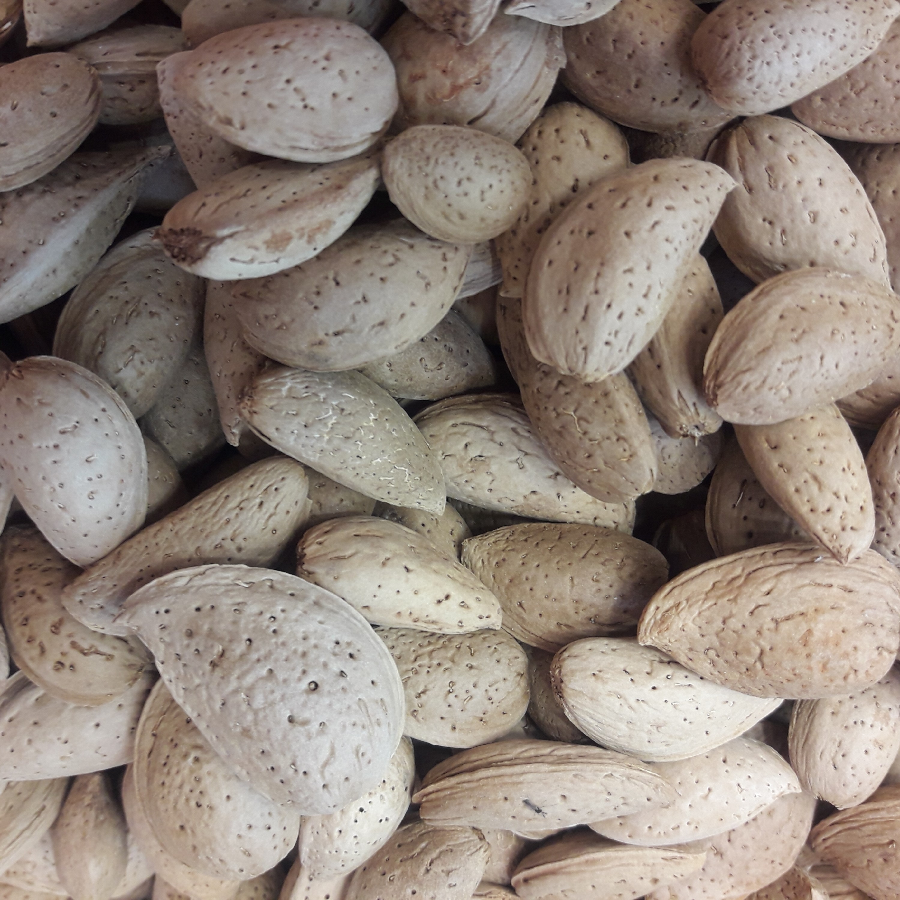 بادام درختی  نهاوند  500گرمی  بدون تلخی تازه