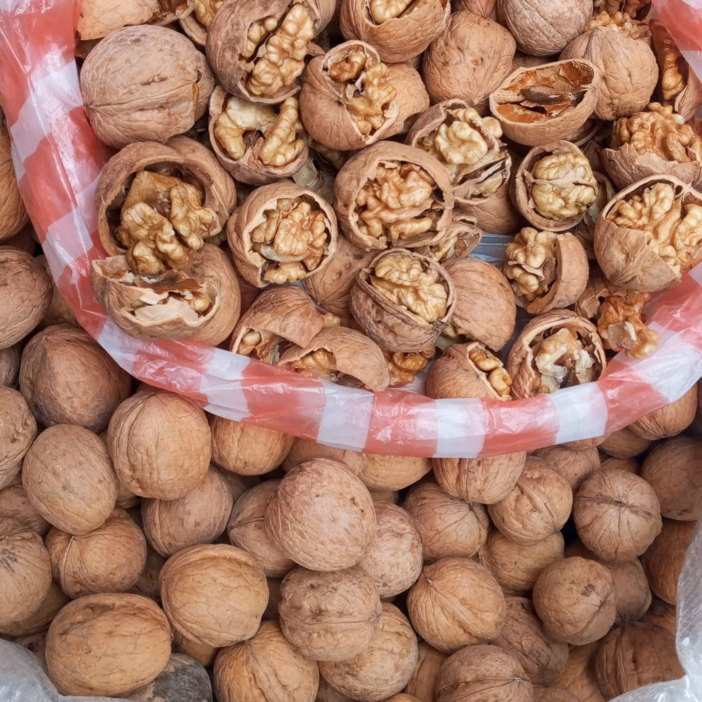 گردو اندازه معمولی مراغه1403 اکثر مغزها سفید هست 