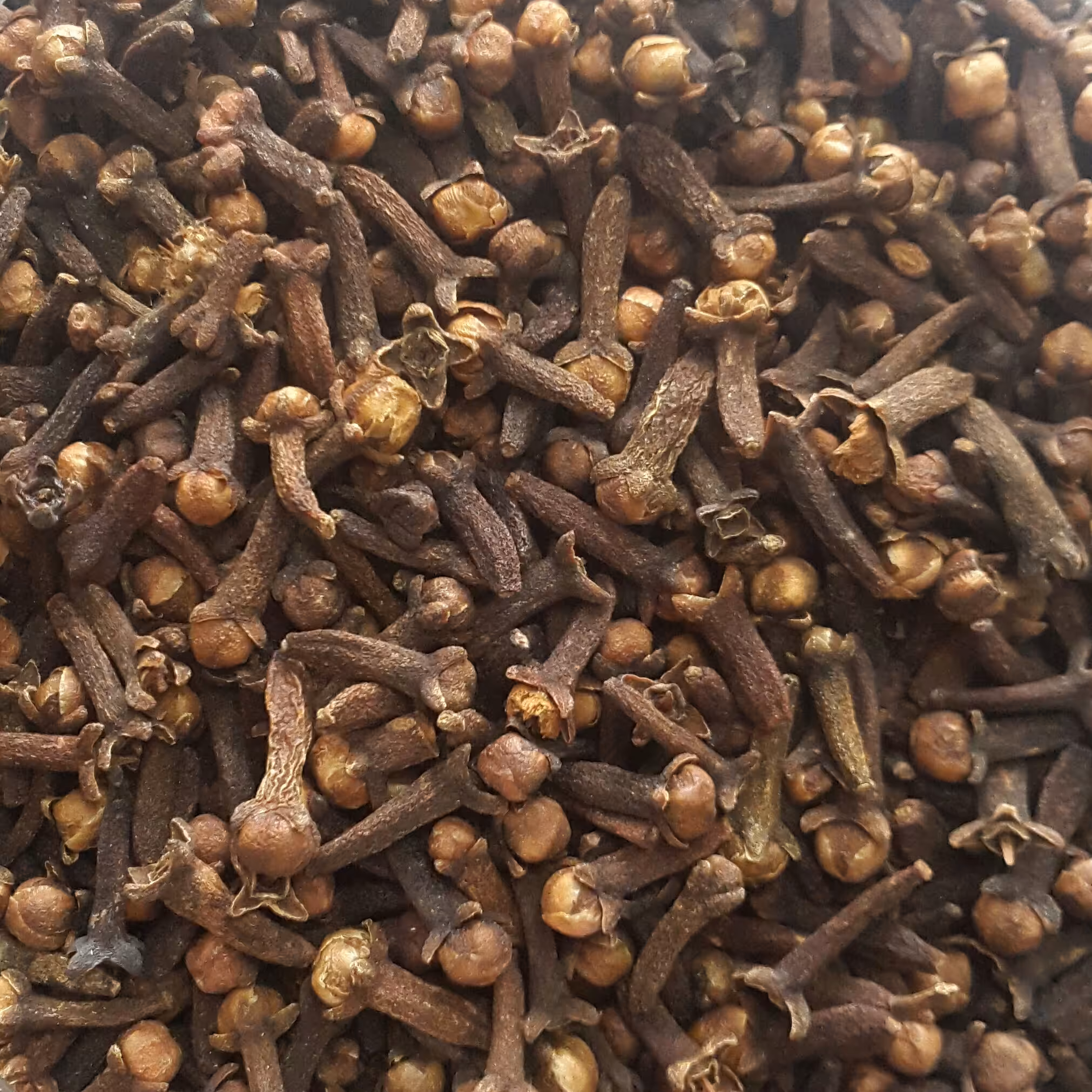 میخک ( 75 گرم ) میخک سالم