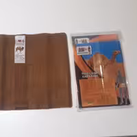 شکم بند شتری