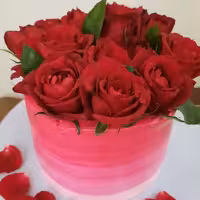 کیک و شیرینی 