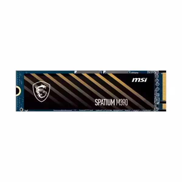 اس اس دی ام اس آی SPATIUM M390 M.2 2280 NVMe 250gb