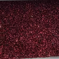 لوبیا قرمز دست چین  (نیم کیلو)