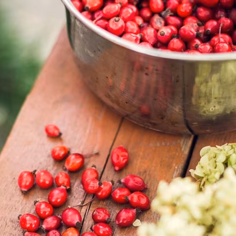 زرشک دونه اناری 