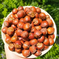 فندق آجیلی اشکورات